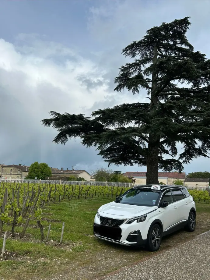 wine tour saint emilion