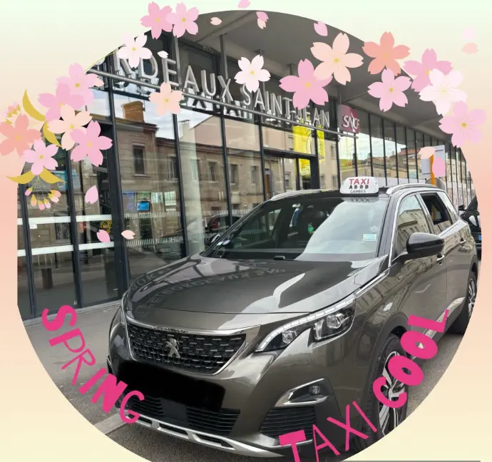 taxi gare de bordeaux