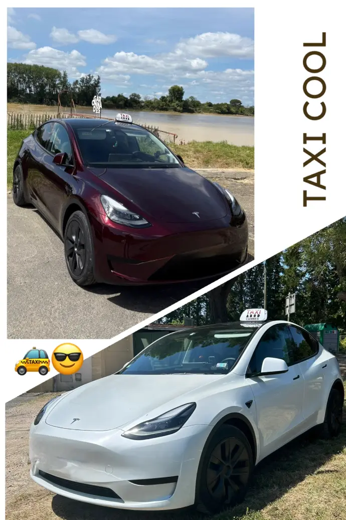 Confort, écologie et sécurité : Taxis Tesla #taxitesla
