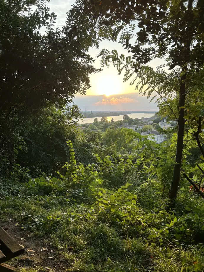 Taxi à Cambes 33880